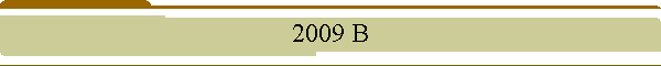 2009 B