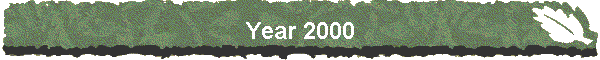 Year 2000