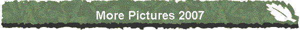 More Pictures 2007