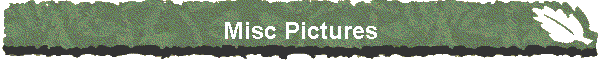 Misc Pictures